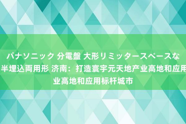 パナソニック 分電盤 大形リミッタースペースなし 露出・半埋込両用形 济南：打造寰宇元天地产业高地和应用标杆城市